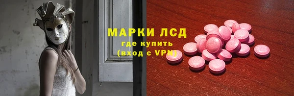 твердый Новозыбков