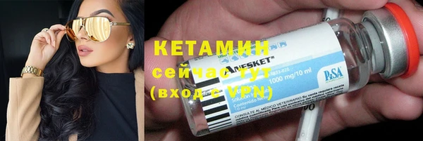 твердый Новозыбков