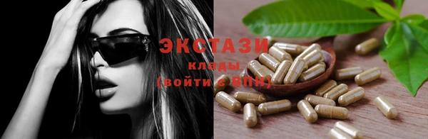твердый Новозыбков
