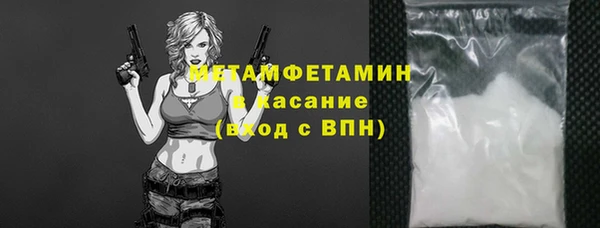 твердый Новозыбков