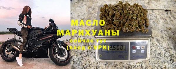 твердый Новозыбков