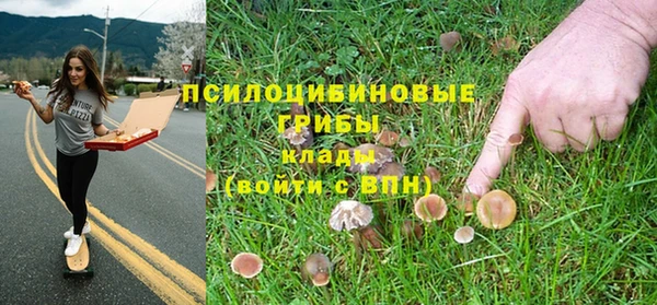 синтетический гашиш Новодвинск