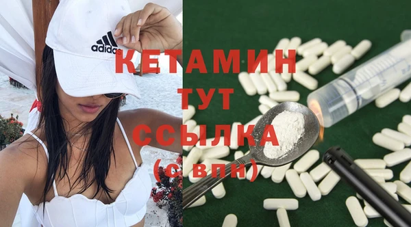 твердый Новозыбков