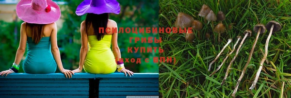 синтетический гашиш Новодвинск