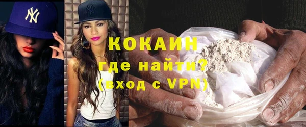 твердый Новозыбков