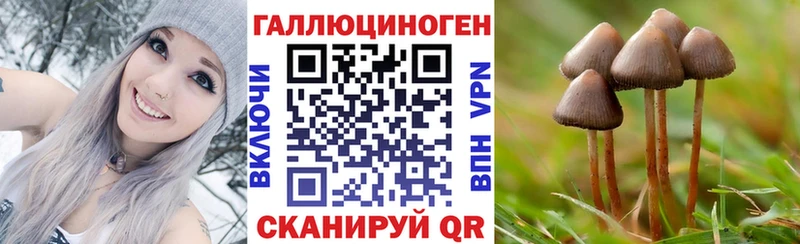 Галлюциногенные грибы прущие грибы  Нолинск 